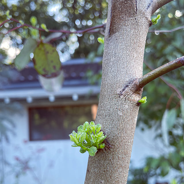 marucoさんの部屋