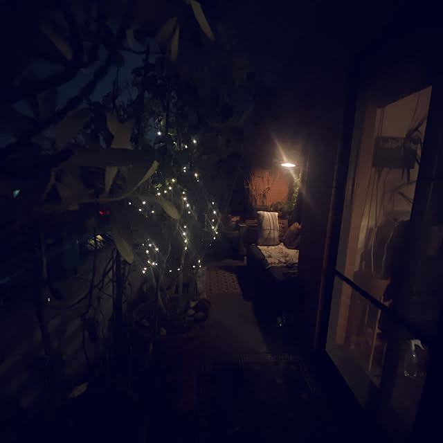 amyさんの実例写真