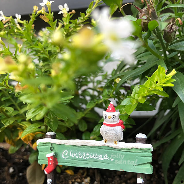 nakabaさんの実例写真