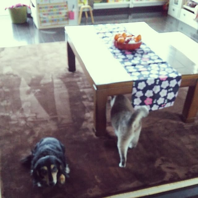 bonkiyoさんの実例写真