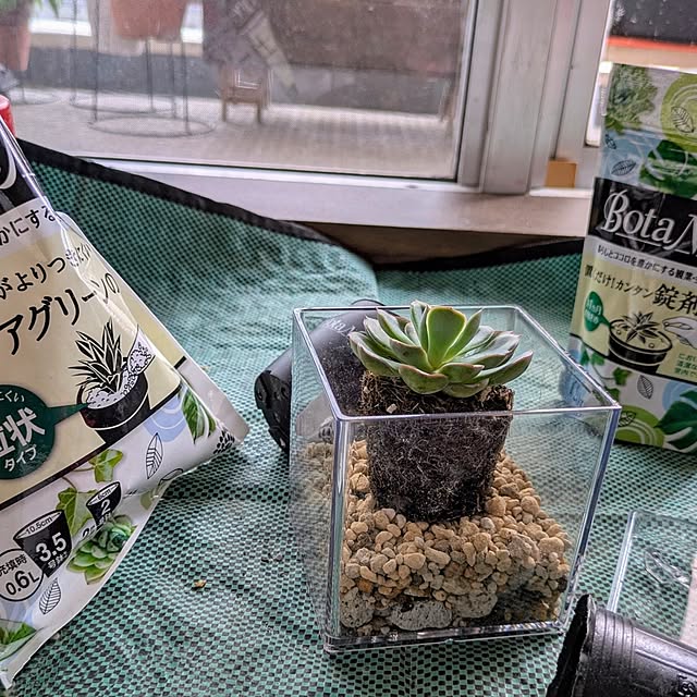 mi-saさんの部屋