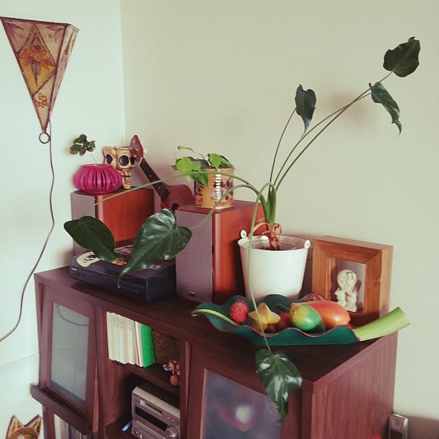akiakariさんの実例写真