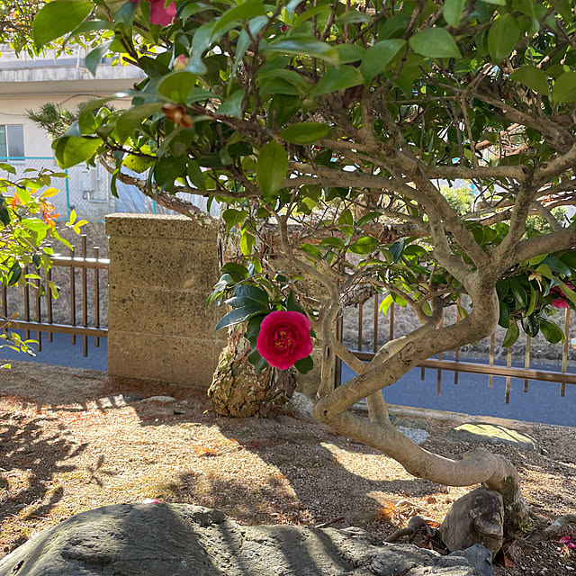 shin0719さんの部屋