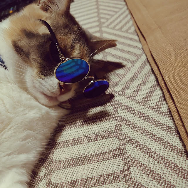 fukuさんの実例写真