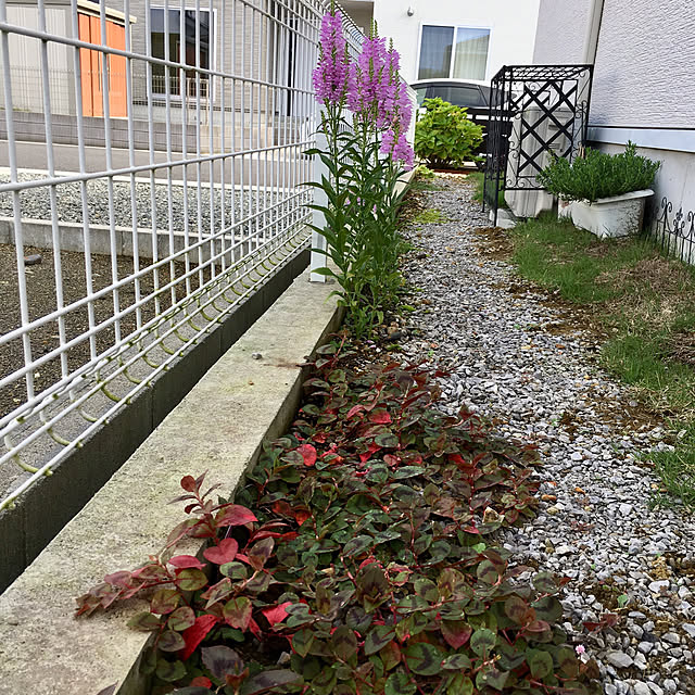 hirokoさんの実例写真