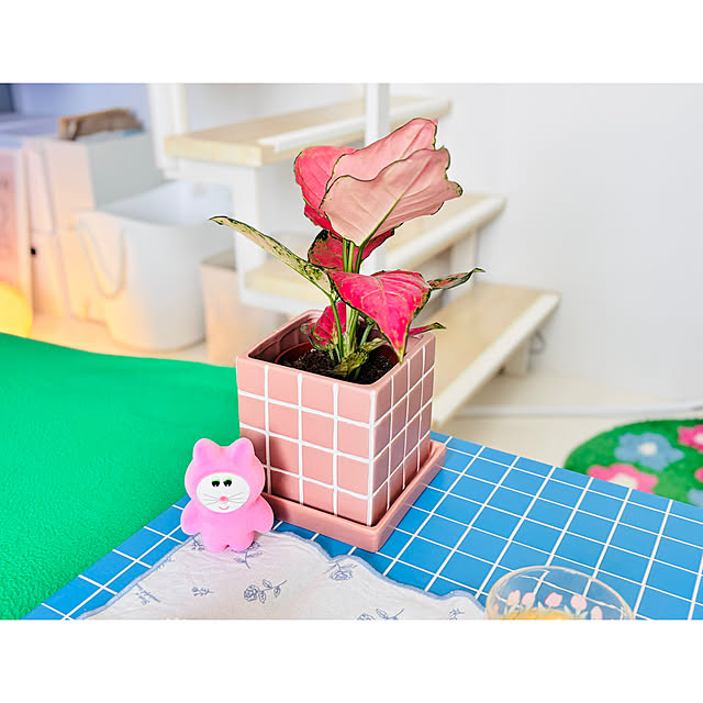 miyoさんの部屋