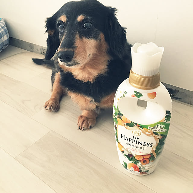 ohanaさんの実例写真