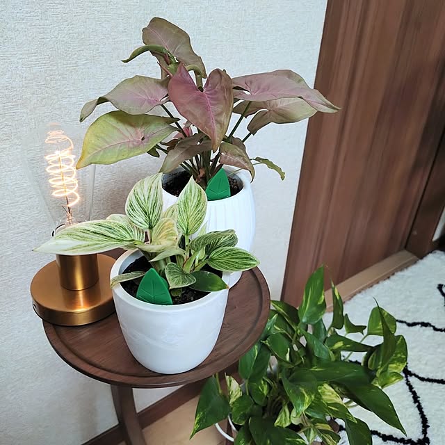 coconathuさんの部屋