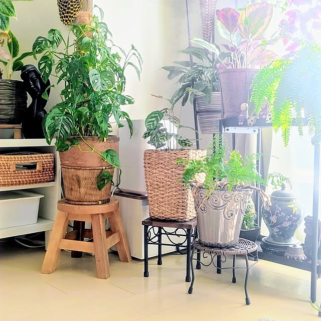 YuriYuriさんの部屋