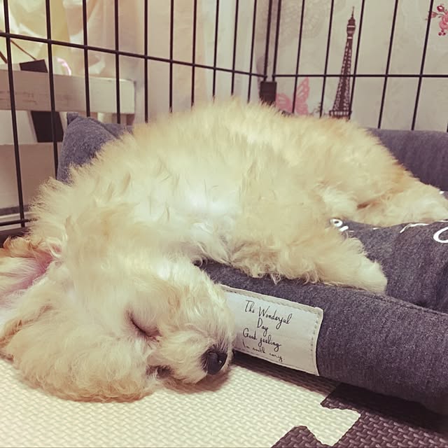 mamechanさんの実例写真