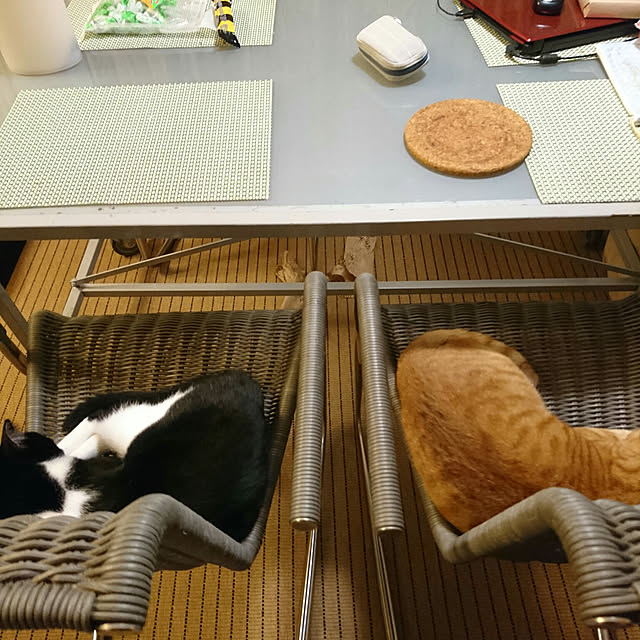 okyosan101さんの実例写真