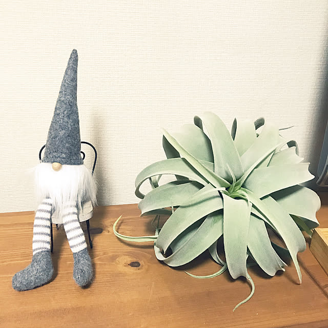 AZUさんの実例写真