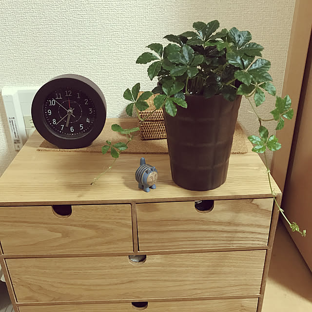 m.mさんの実例写真