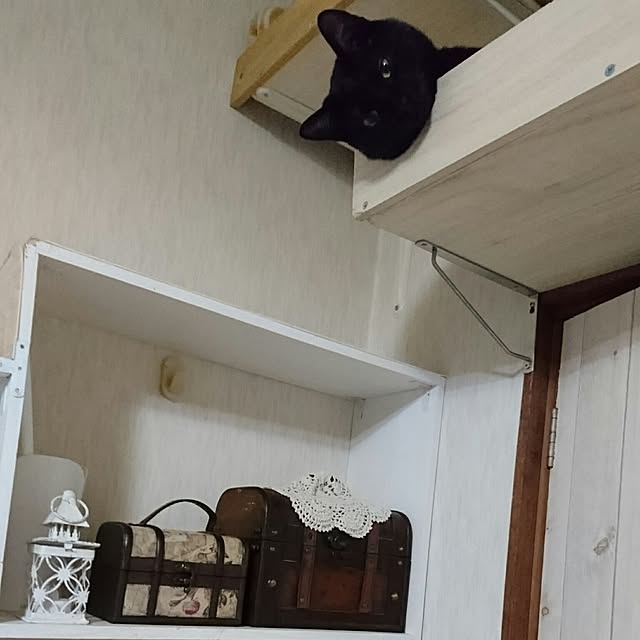 taleo07さんの実例写真