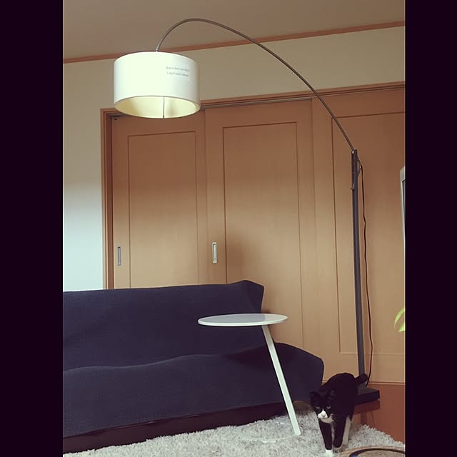 negiさんの実例写真