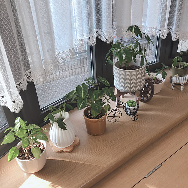 katoponさんの部屋