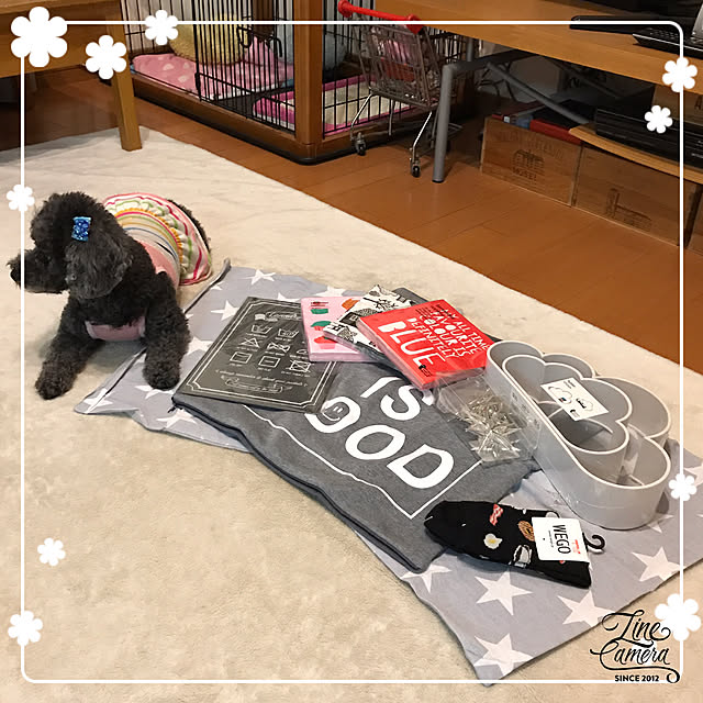 makkoさんの実例写真
