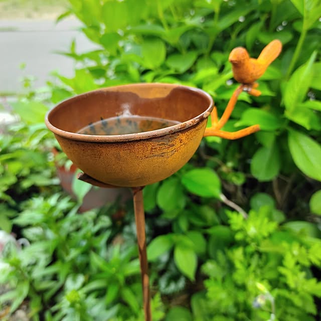 kiraさんの部屋