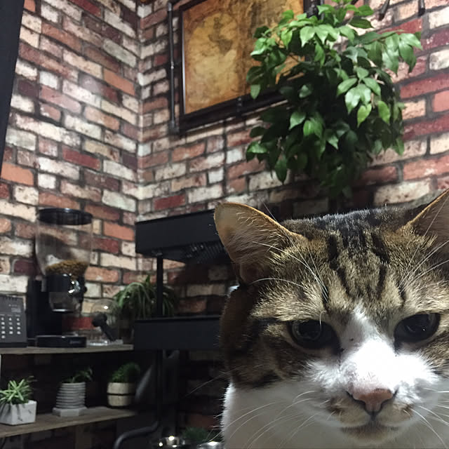 RANIさんの実例写真