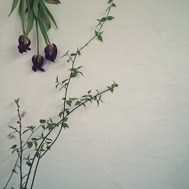 naraさんの実例写真