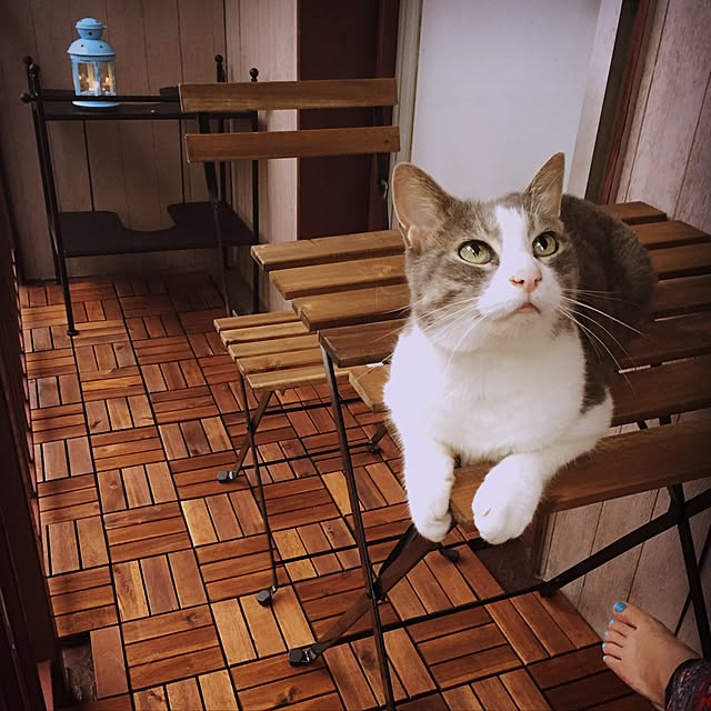sawayさんの実例写真