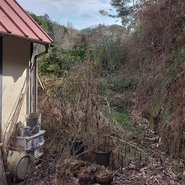 blackbeansさんの実例写真