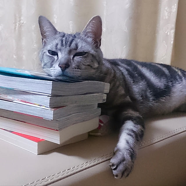 yuri.sさんの実例写真