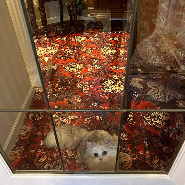 AYUKOさんの部屋