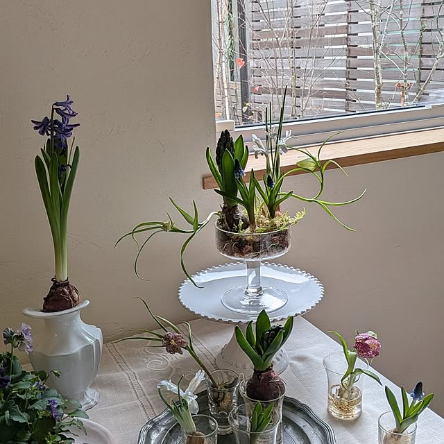 nolleyさんの部屋