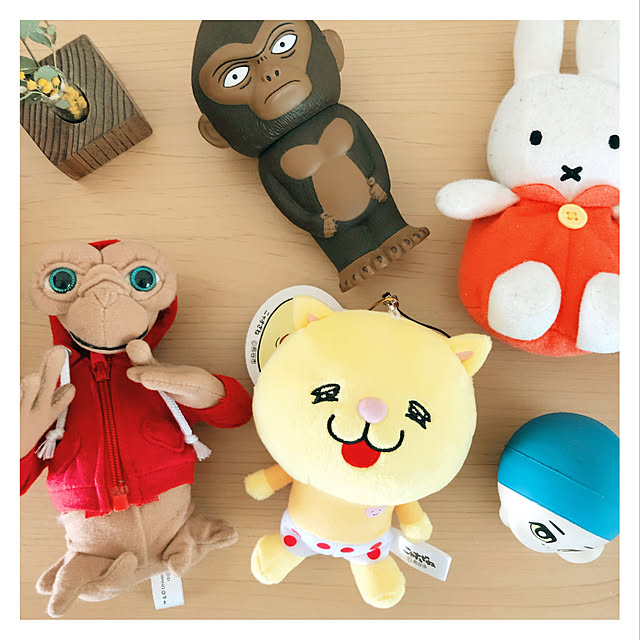 Maicoさんの実例写真