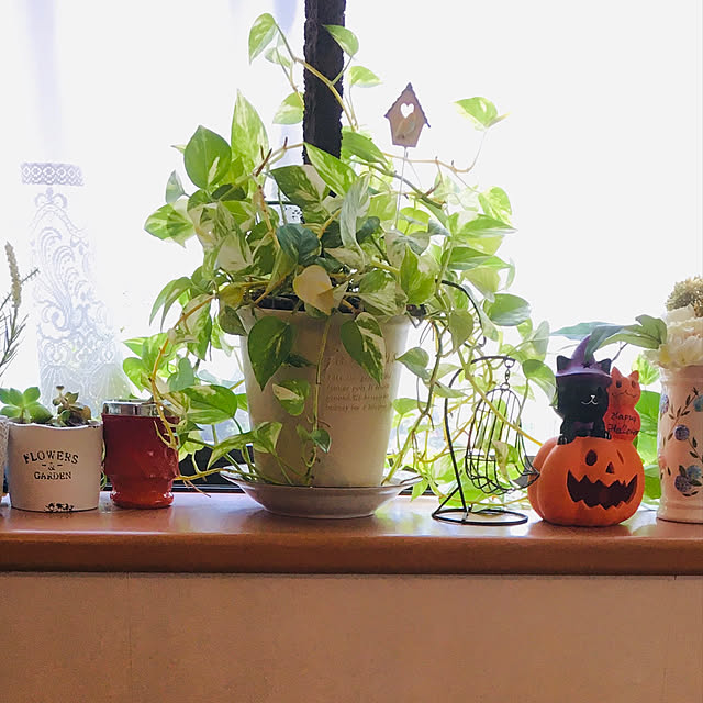 ハロウィン/リビングのインテリア実例 - 2021-09-13 08:17:24