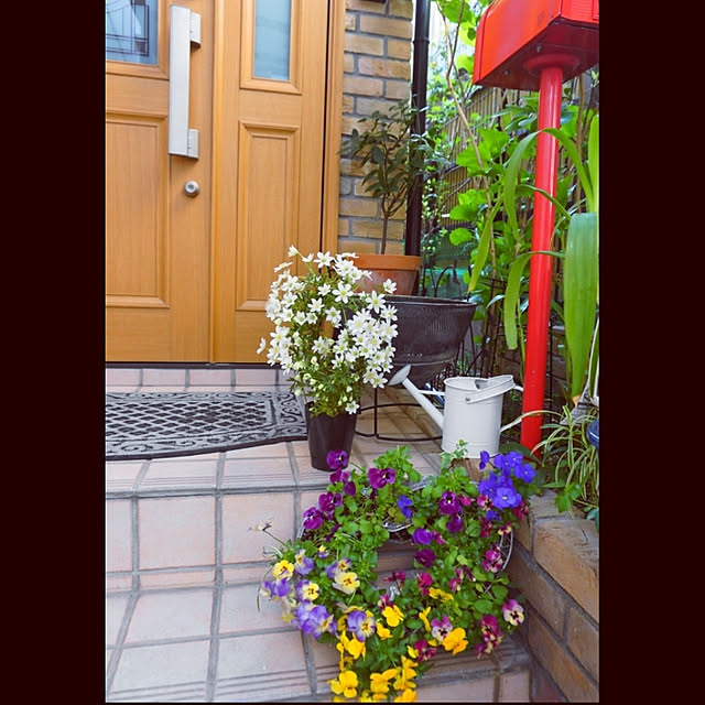 aromameさんの実例写真