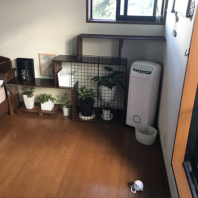 ayuさんの実例写真