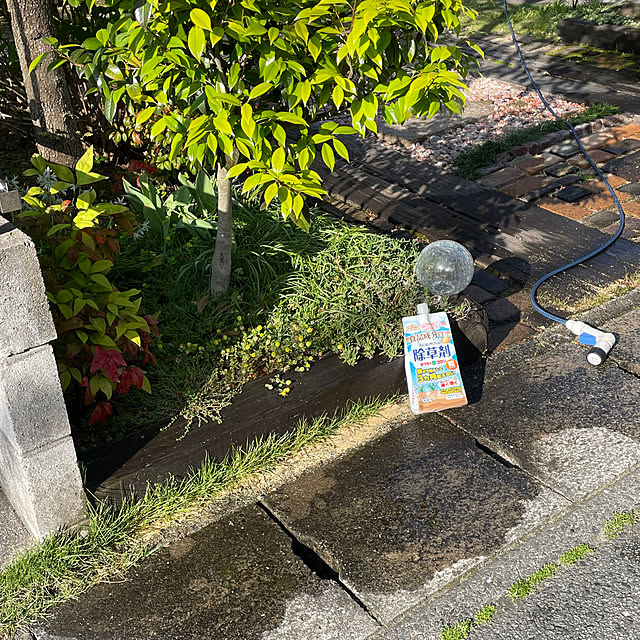 nobikoさんの部屋