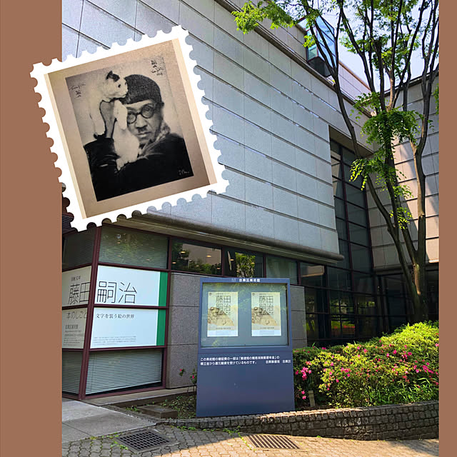 satochanさんの実例写真