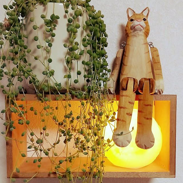 sleepywhaleさんの実例写真