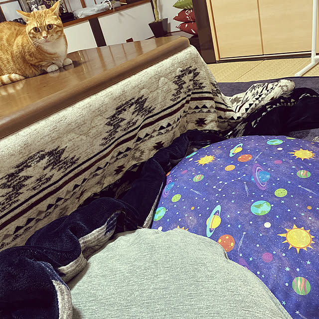 touchinさんの実例写真