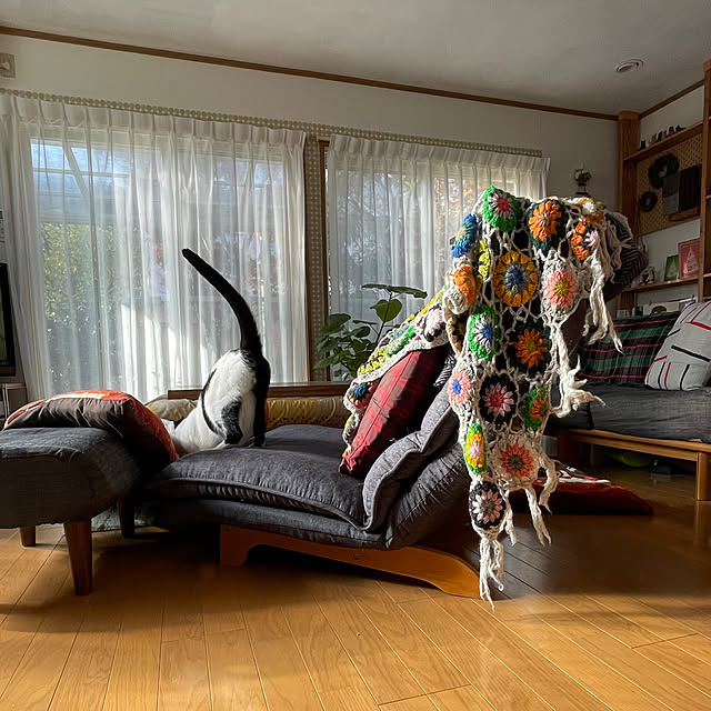 nobikoさんの部屋