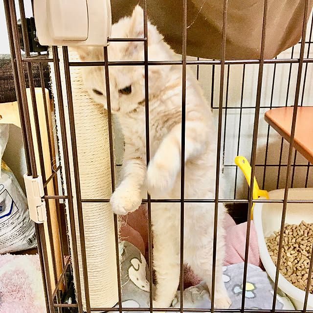 naokoさんの実例写真