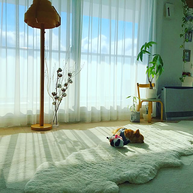 haruhinaさんの実例写真
