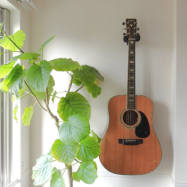 coco.Apartmanさんの実例写真