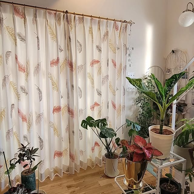 nonbiri_house_さんの部屋