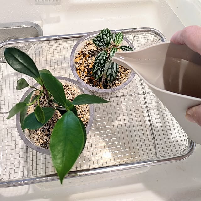 mi-saさんの部屋