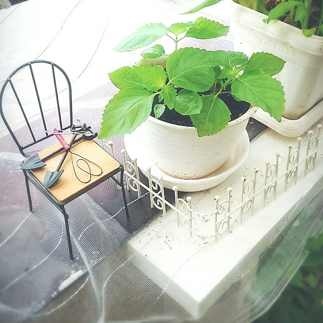 miho.okuさんの実例写真
