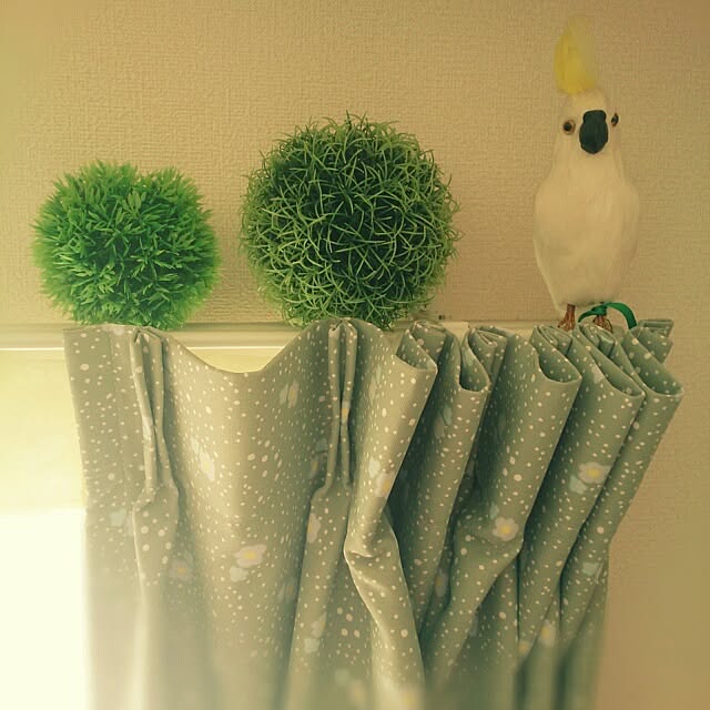 Chihiroさんの実例写真
