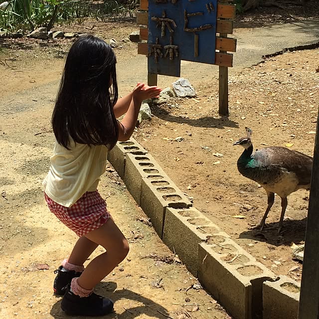 coraruさんの実例写真