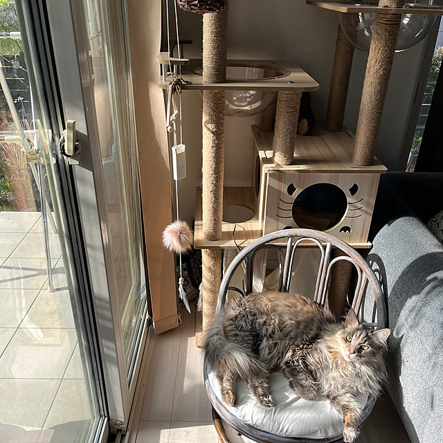 mayumiさんの部屋