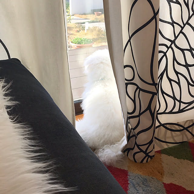 fukoさんの実例写真