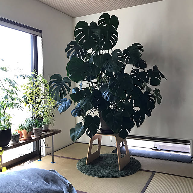 ken.ku128さんの実例写真