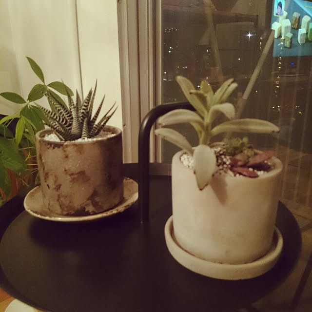 実例写真